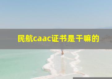 民航caac证书是干嘛的