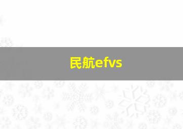 民航efvs