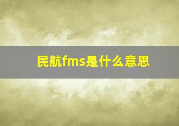 民航fms是什么意思