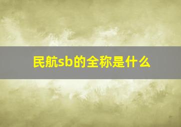 民航sb的全称是什么