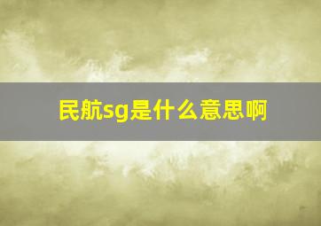 民航sg是什么意思啊