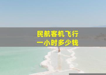 民航客机飞行一小时多少钱