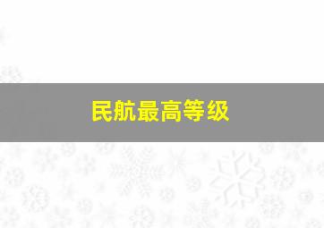 民航最高等级