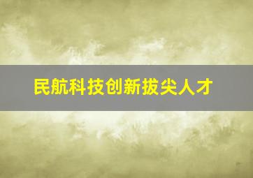 民航科技创新拔尖人才