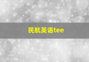 民航英语tee