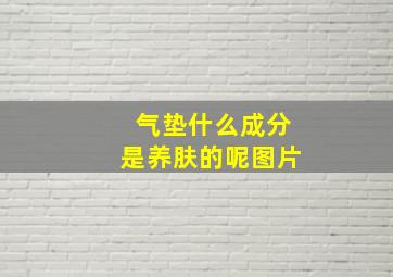 气垫什么成分是养肤的呢图片