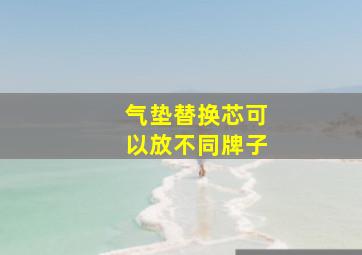 气垫替换芯可以放不同牌子