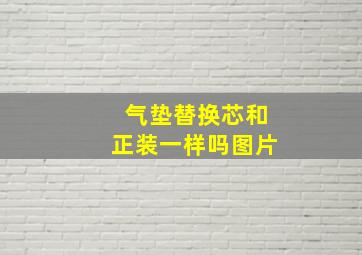 气垫替换芯和正装一样吗图片