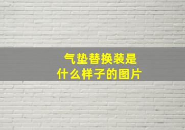 气垫替换装是什么样子的图片