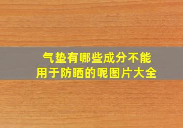 气垫有哪些成分不能用于防晒的呢图片大全