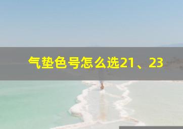 气垫色号怎么选21、23