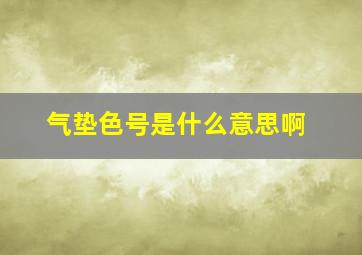 气垫色号是什么意思啊