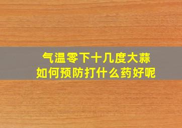 气温零下十几度大蒜如何预防打什么药好呢