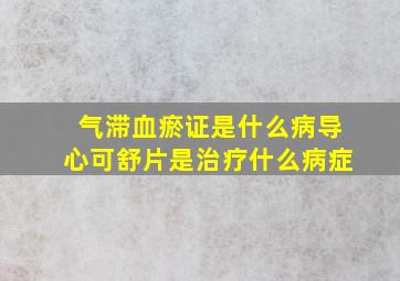 气滞血瘀证是什么病导心可舒片是治疗什么病症