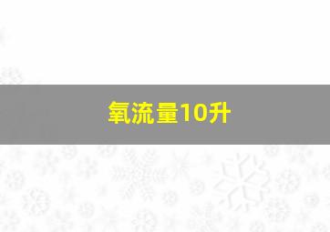 氧流量10升