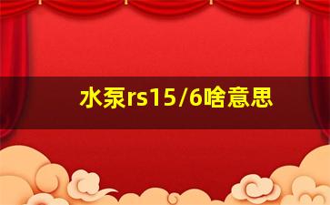 水泵rs15/6啥意思