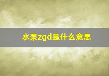 水泵zgd是什么意思