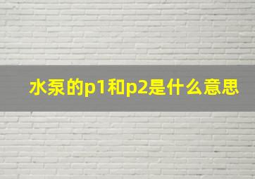 水泵的p1和p2是什么意思