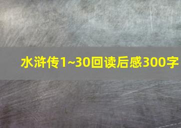 水浒传1~30回读后感300字