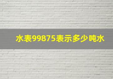 水表99875表示多少吨水