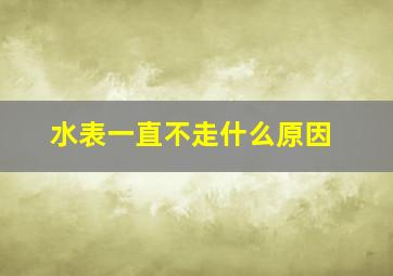 水表一直不走什么原因