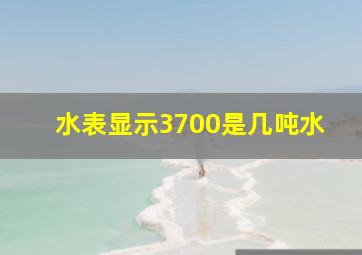 水表显示3700是几吨水