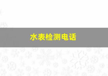 水表检测电话