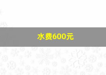 水费600元