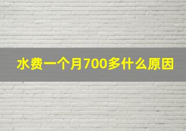 水费一个月700多什么原因