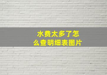 水费太多了怎么查明细表图片