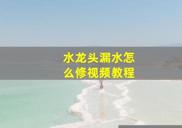 水龙头漏水怎么修视频教程