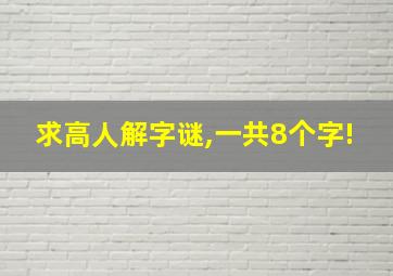 求高人解字谜,一共8个字!