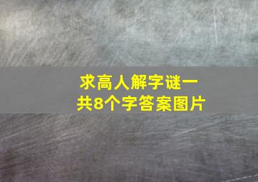 求高人解字谜一共8个字答案图片