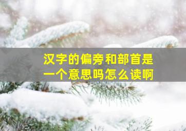 汉字的偏旁和部首是一个意思吗怎么读啊