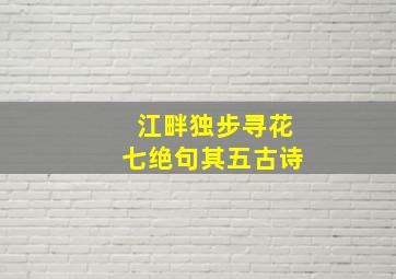 江畔独步寻花七绝句其五古诗