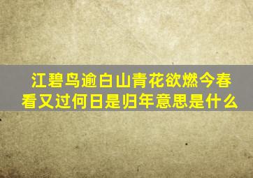 江碧鸟逾白山青花欲燃今春看又过何日是归年意思是什么