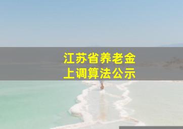 江苏省养老金上调算法公示