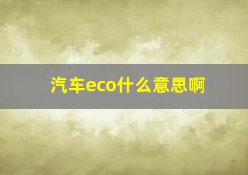 汽车eco什么意思啊