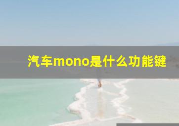 汽车mono是什么功能键