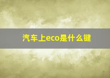 汽车上eco是什么键