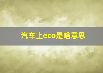 汽车上eco是啥意思