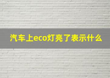 汽车上eco灯亮了表示什么