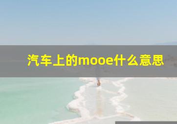 汽车上的mooe什么意思