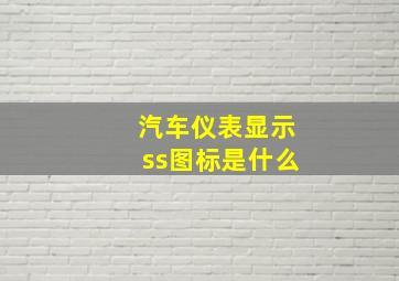 汽车仪表显示ss图标是什么