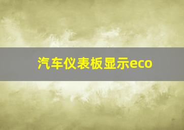 汽车仪表板显示eco