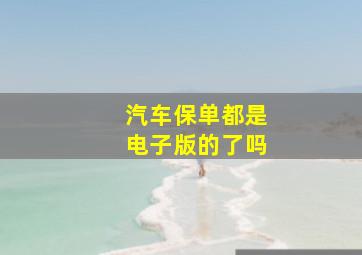 汽车保单都是电子版的了吗