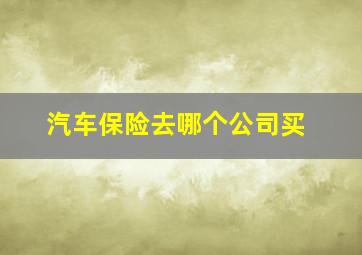 汽车保险去哪个公司买