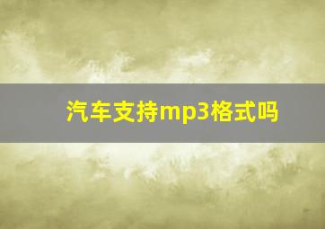 汽车支持mp3格式吗