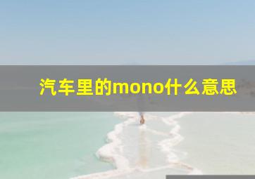 汽车里的mono什么意思