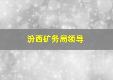 汾西矿务局领导